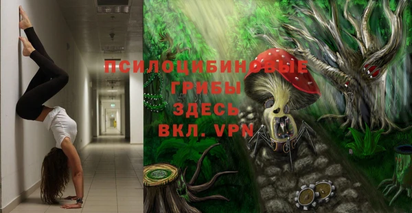 кристаллы Бородино