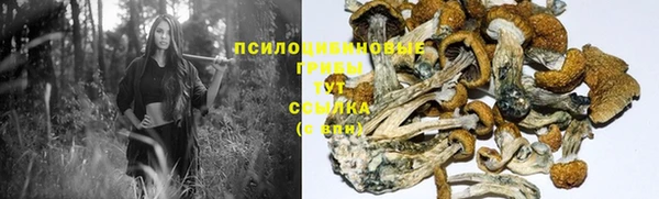 кристаллы Бородино