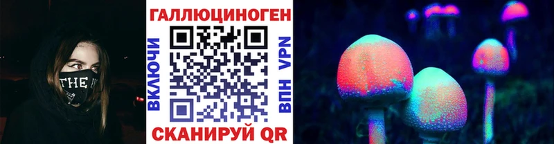 где можно купить   Каспийск  Галлюциногенные грибы MAGIC MUSHROOMS 